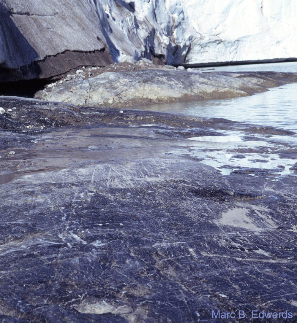A freshly exposed striated pavement at 
the front of Blomstrandbreen, Kongsfjord, 
Spitsbergen.